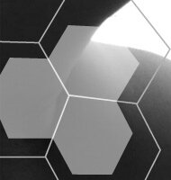 Startseite, Ihr Hautarzt in Braunschweig